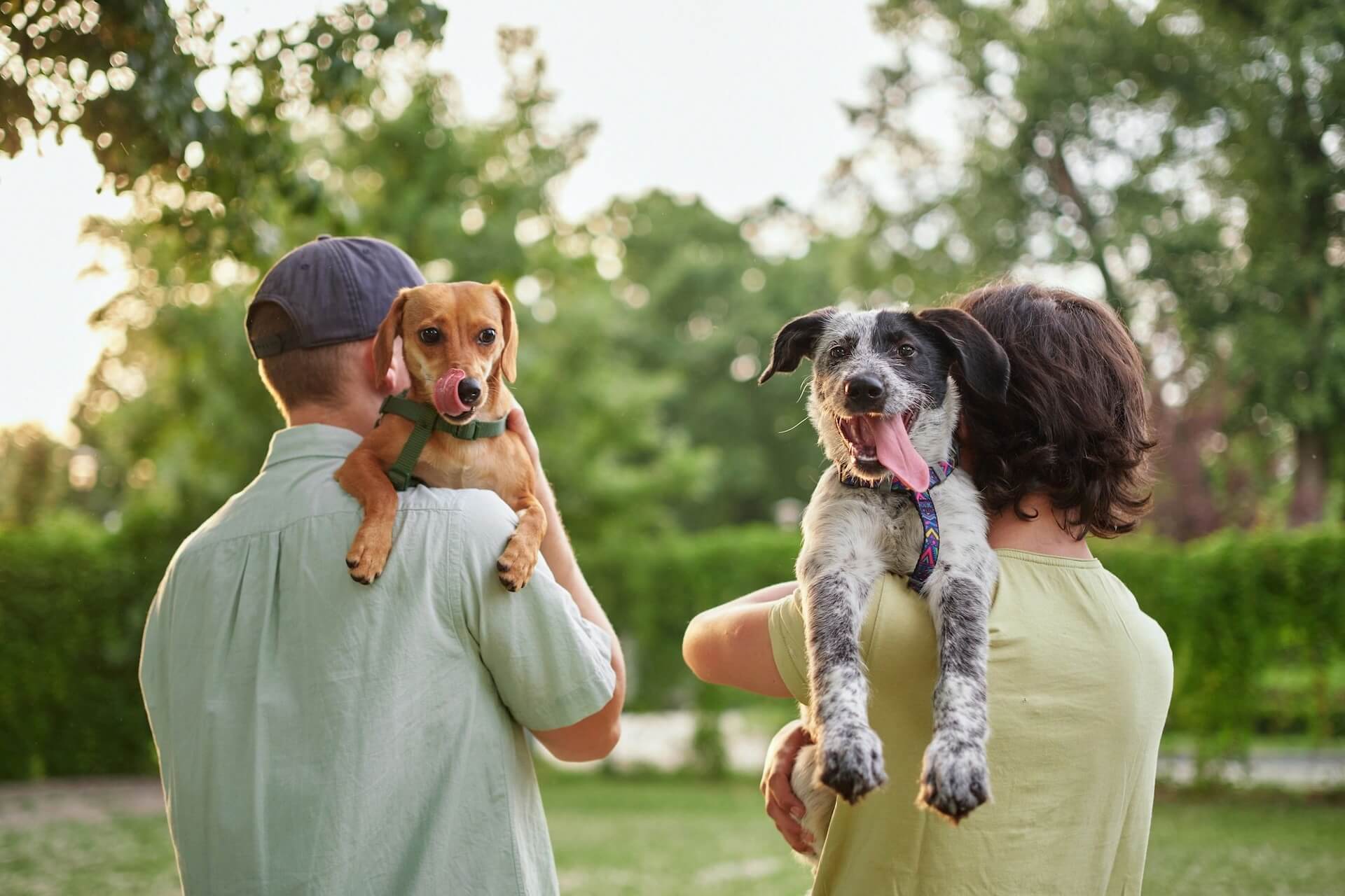 Veterinary Hospital in Leesburg Mobile