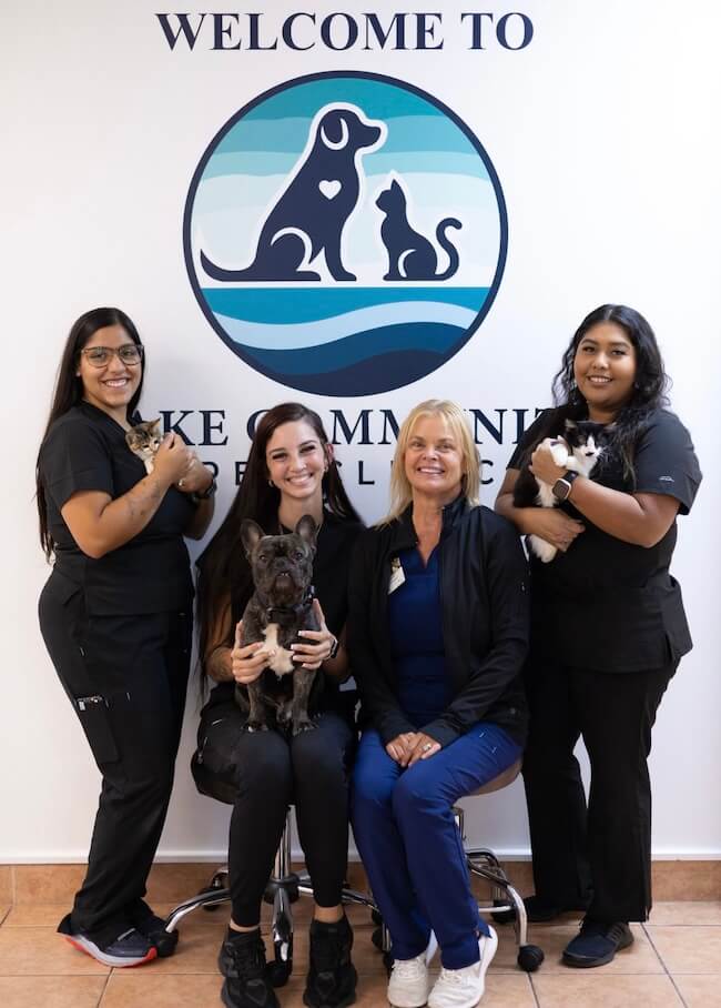 About Lake Community Pet Clinic
